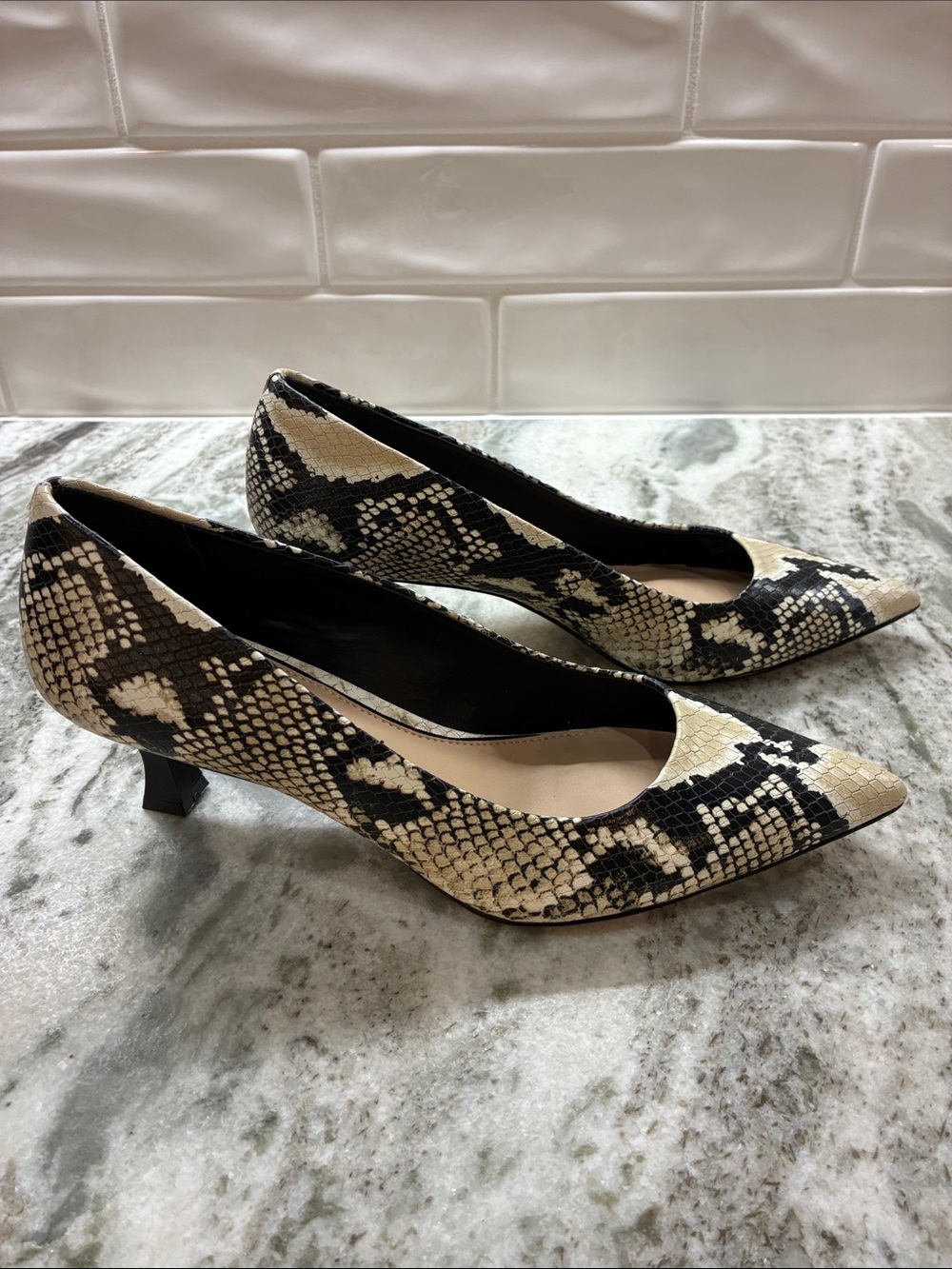 Snake-Print Pointed Toe Low Heel Pumps - Black & Cream by
Gianni bini.